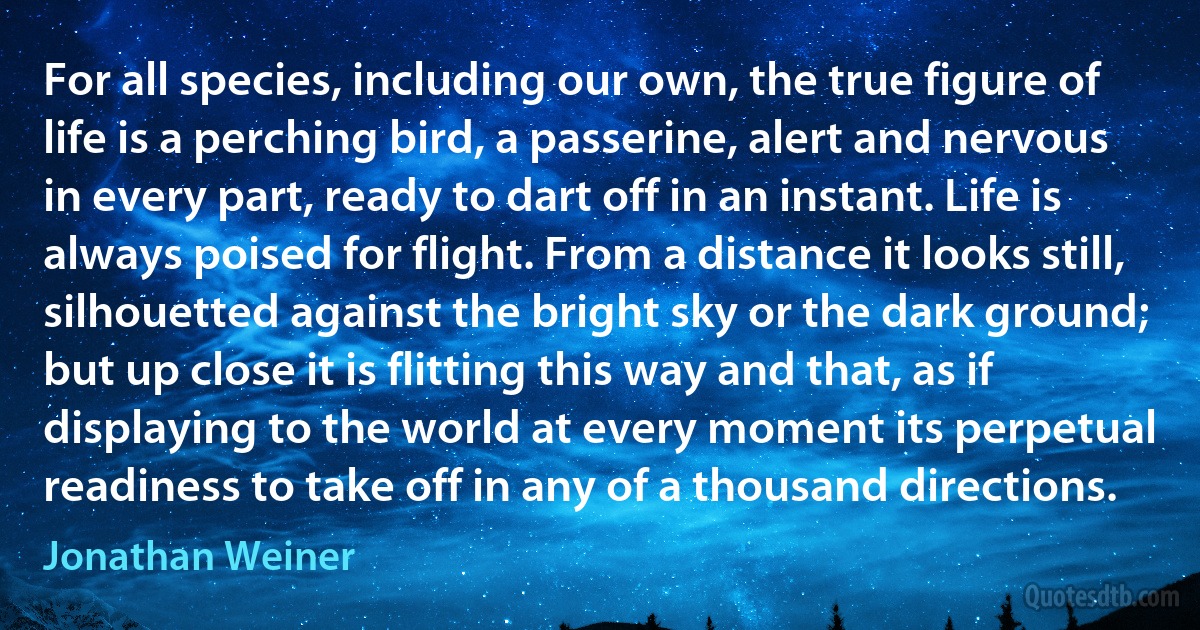 For all species, including our own, the true figure of life is a perching bird, a passerine, alert and nervous in every part, ready to dart off in an instant. Life is always poised for flight. From a distance it looks still, silhouetted against the bright sky or the dark ground; but up close it is flitting this way and that, as if displaying to the world at every moment its perpetual readiness to take off in any of a thousand directions. (Jonathan Weiner)