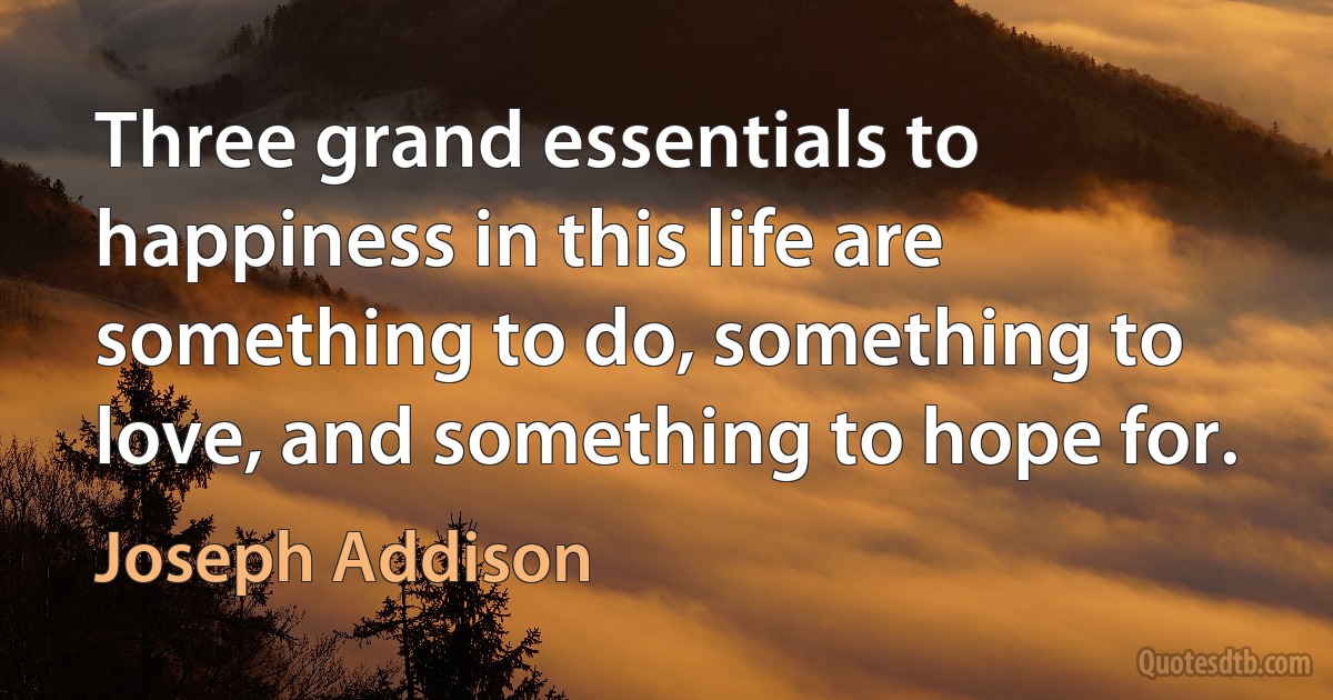 Three grand essentials to happiness in this life are something to do, something to love, and something to hope for. (Joseph Addison)