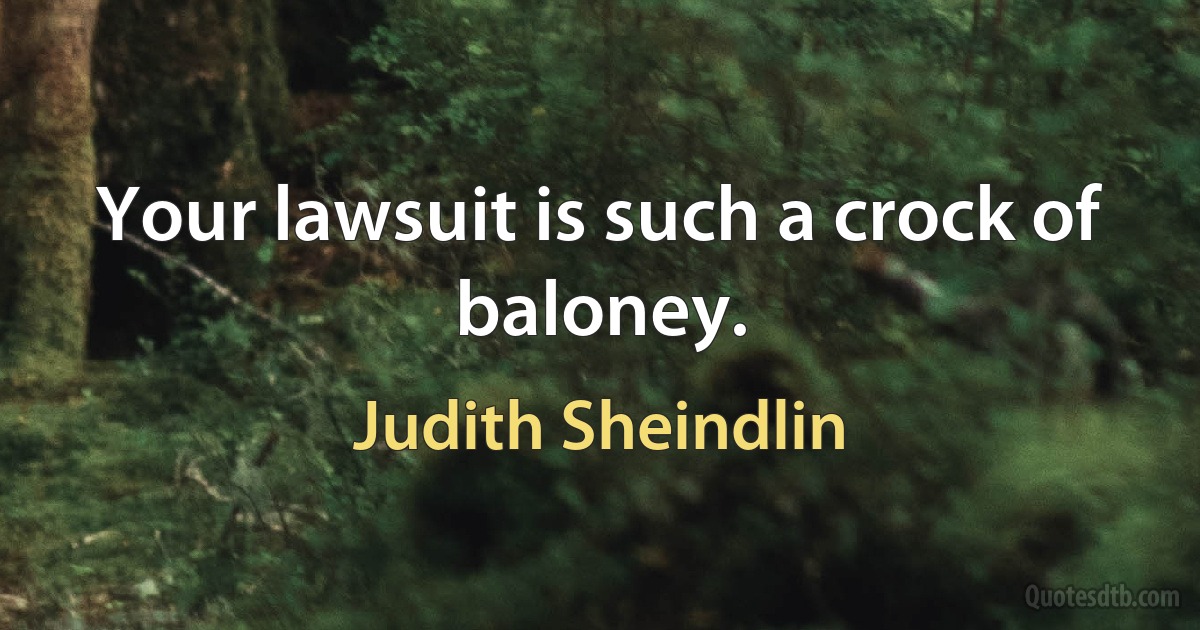 Your lawsuit is such a crock of baloney. (Judith Sheindlin)