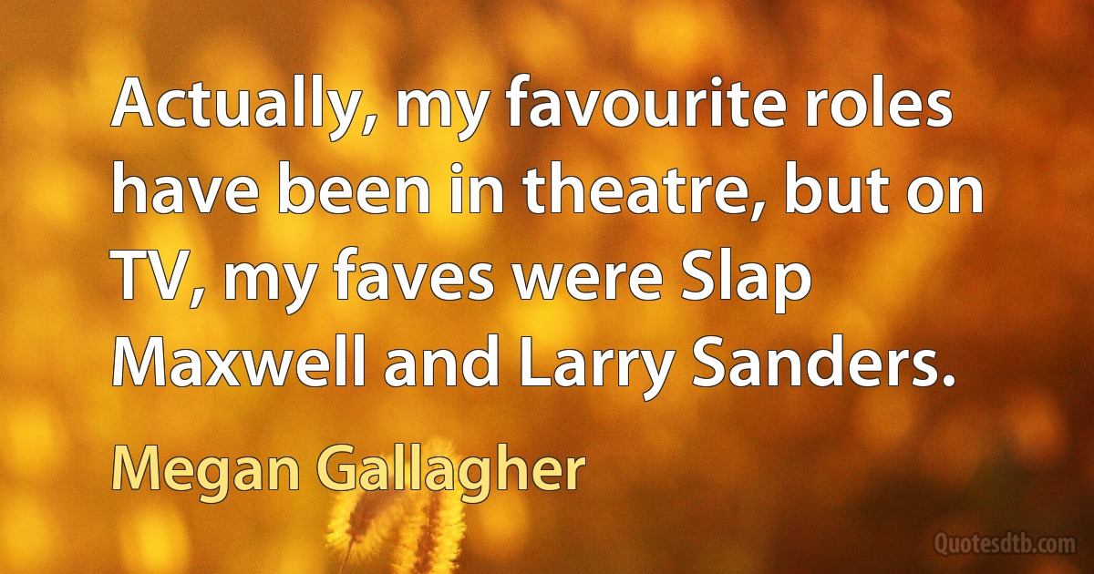 Actually, my favourite roles have been in theatre, but on TV, my faves were Slap Maxwell and Larry Sanders. (Megan Gallagher)