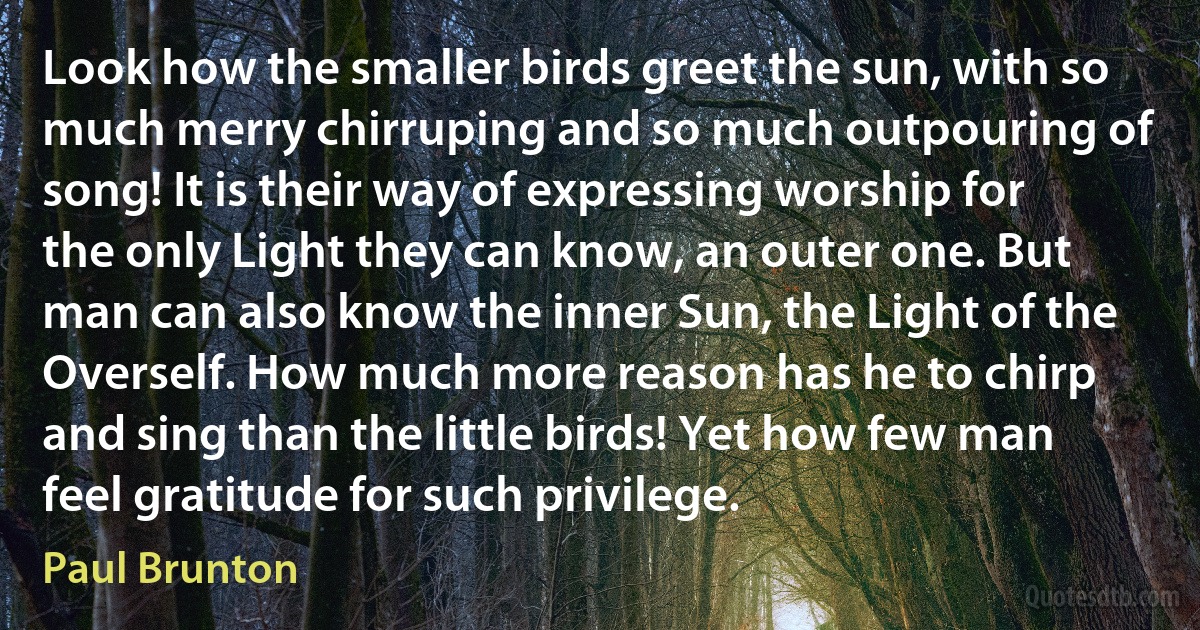 Look how the smaller birds greet the sun, with so much merry chirruping and so much outpouring of song! It is their way of expressing worship for the only Light they can know, an outer one. But man can also know the inner Sun, the Light of the Overself. How much more reason has he to chirp and sing than the little birds! Yet how few man feel gratitude for such privilege. (Paul Brunton)