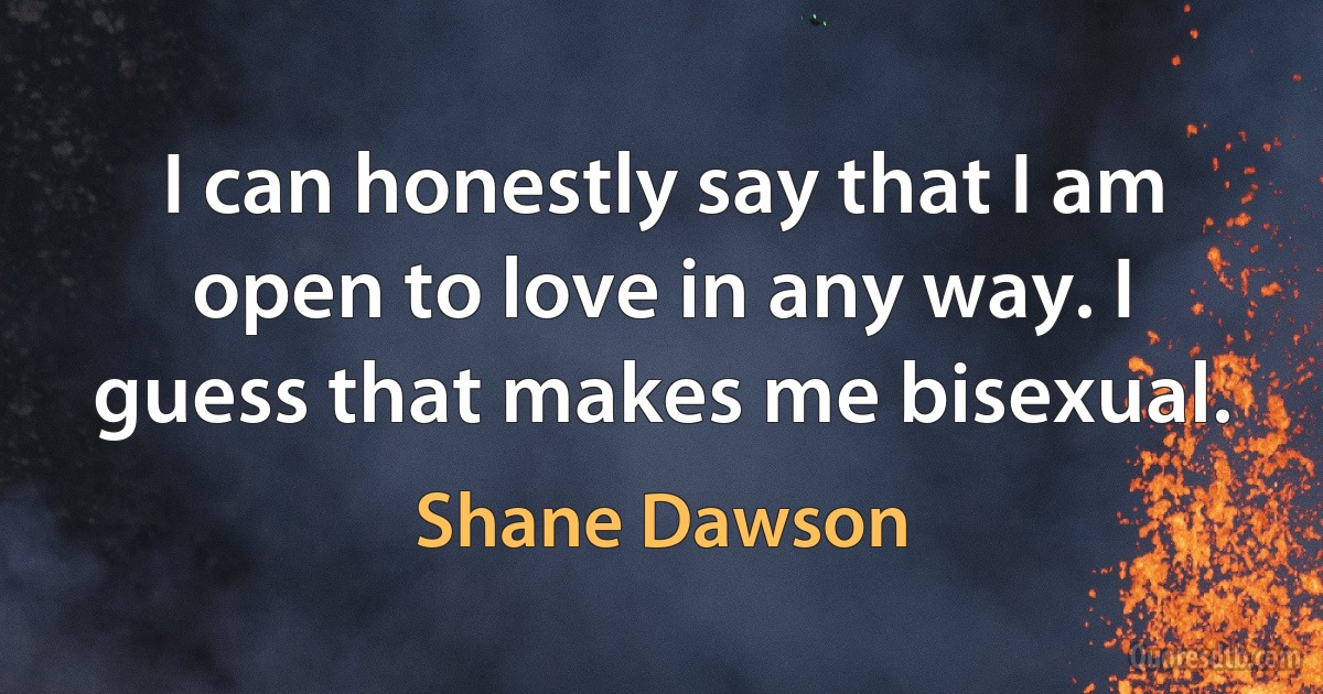 I can honestly say that I am open to love in any way. I guess that makes me bisexual. (Shane Dawson)