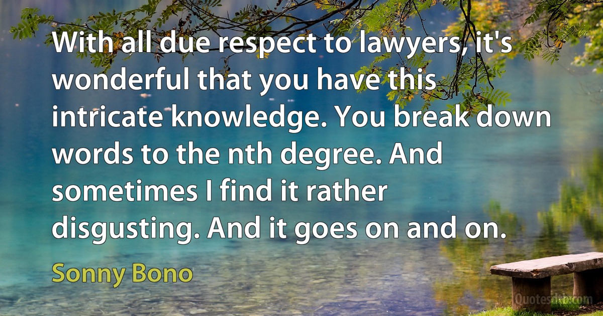 With all due respect to lawyers, it's wonderful that you have this intricate knowledge. You break down words to the nth degree. And sometimes I find it rather disgusting. And it goes on and on. (Sonny Bono)