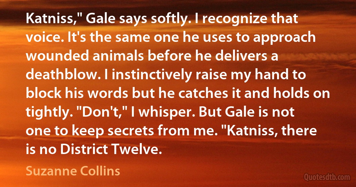 Katniss," Gale says softly. I recognize that voice. It's the same one he uses to approach wounded animals before he delivers a deathblow. I instinctively raise my hand to block his words but he catches it and holds on tightly. "Don't," I whisper. But Gale is not one to keep secrets from me. "Katniss, there is no District Twelve. (Suzanne Collins)