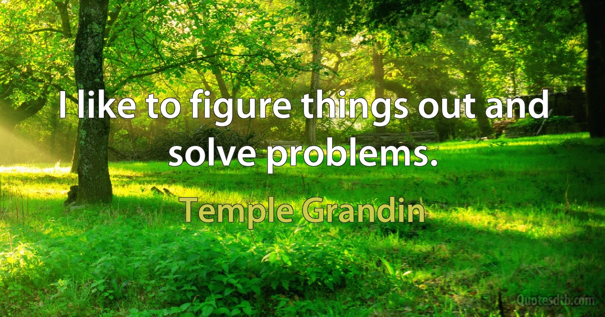 I like to figure things out and solve problems. (Temple Grandin)