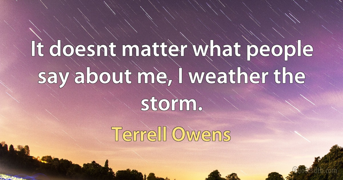 It doesnt matter what people say about me, I weather the storm. (Terrell Owens)