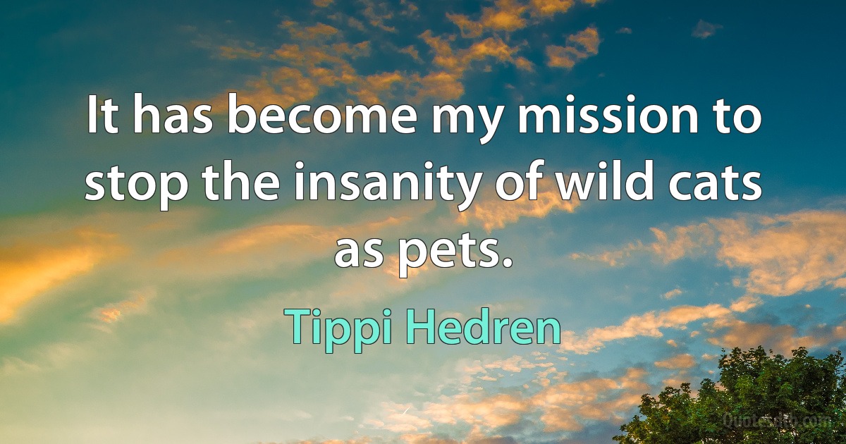 It has become my mission to stop the insanity of wild cats as pets. (Tippi Hedren)