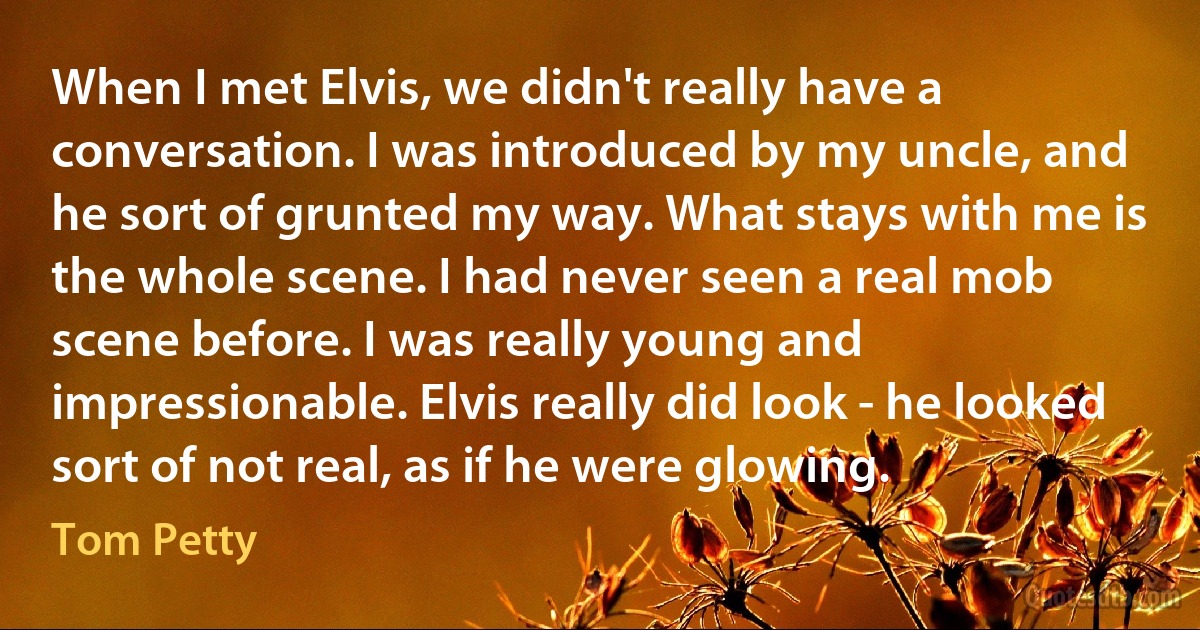 When I met Elvis, we didn't really have a conversation. I was introduced by my uncle, and he sort of grunted my way. What stays with me is the whole scene. I had never seen a real mob scene before. I was really young and impressionable. Elvis really did look - he looked sort of not real, as if he were glowing. (Tom Petty)