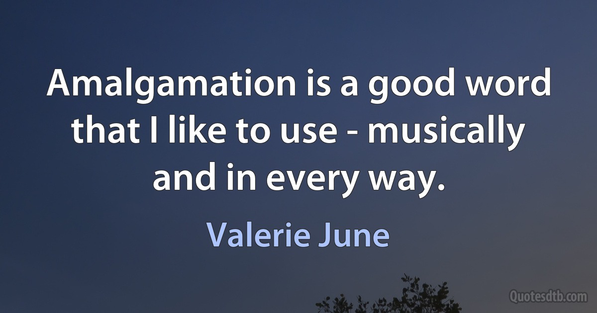 Amalgamation is a good word that I like to use - musically and in every way. (Valerie June)