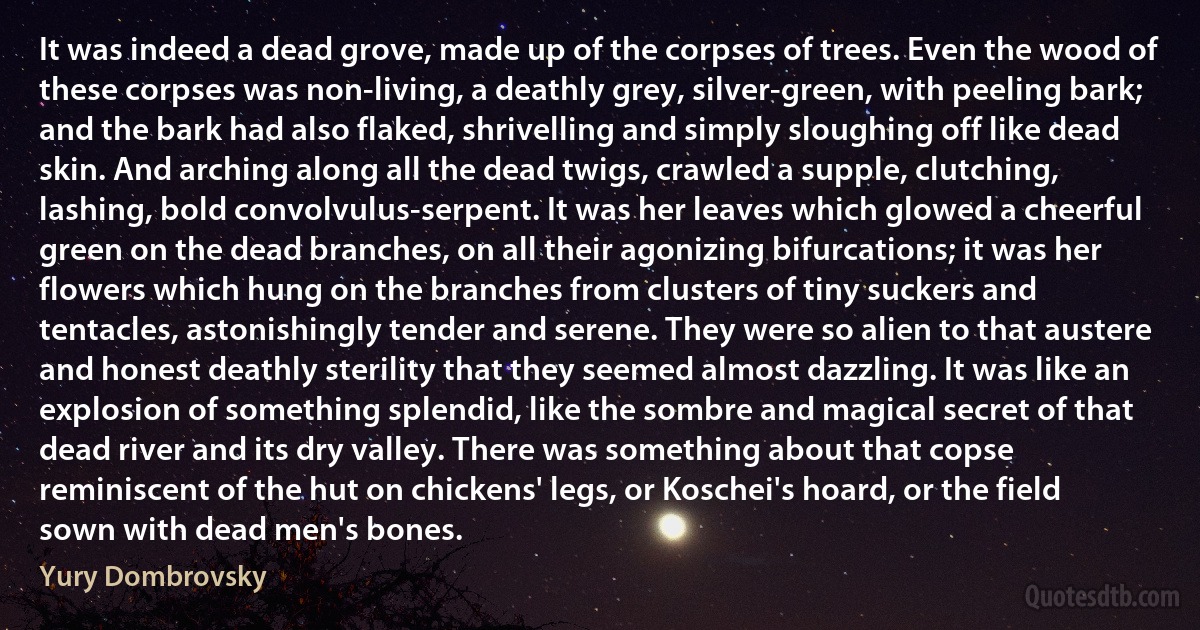 It was indeed a dead grove, made up of the corpses of trees. Even the wood of these corpses was non-living, a deathly grey, silver-green, with peeling bark; and the bark had also flaked, shrivelling and simply sloughing off like dead skin. And arching along all the dead twigs, crawled a supple, clutching, lashing, bold convolvulus-serpent. It was her leaves which glowed a cheerful green on the dead branches, on all their agonizing bifurcations; it was her flowers which hung on the branches from clusters of tiny suckers and tentacles, astonishingly tender and serene. They were so alien to that austere and honest deathly sterility that they seemed almost dazzling. It was like an explosion of something splendid, like the sombre and magical secret of that dead river and its dry valley. There was something about that copse reminiscent of the hut on chickens' legs, or Koschei's hoard, or the field sown with dead men's bones. (Yury Dombrovsky)