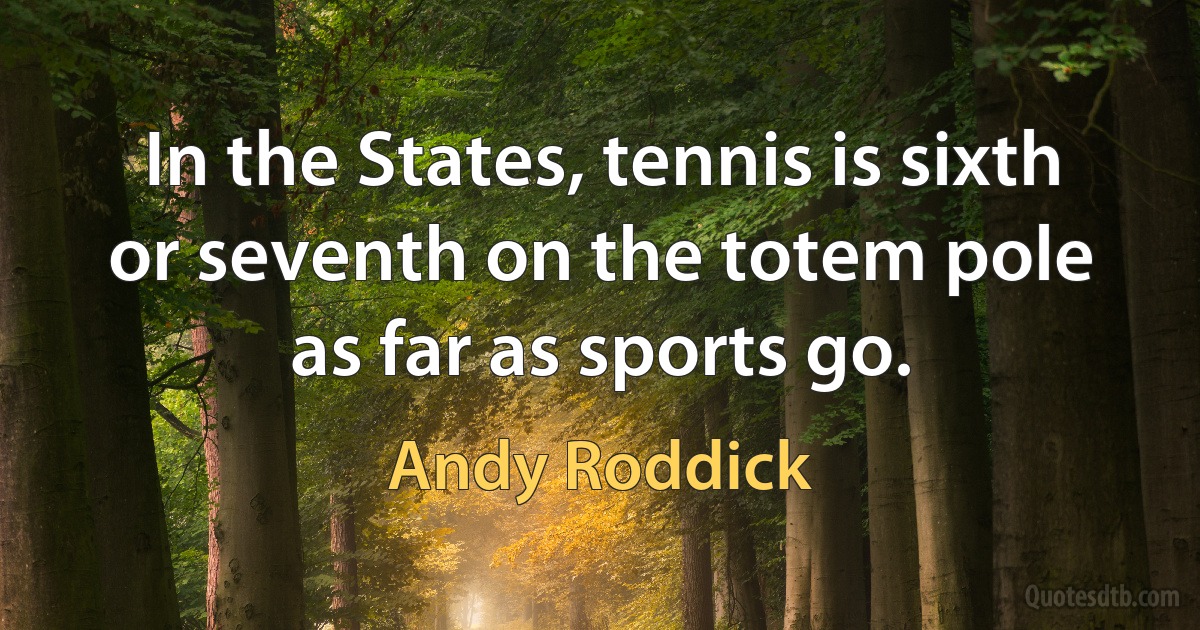 In the States, tennis is sixth or seventh on the totem pole as far as sports go. (Andy Roddick)