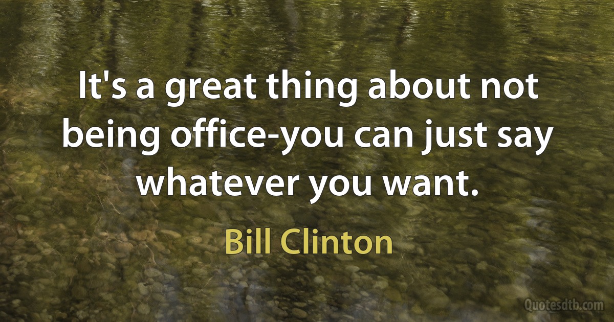 It's a great thing about not being office-you can just say whatever you want. (Bill Clinton)