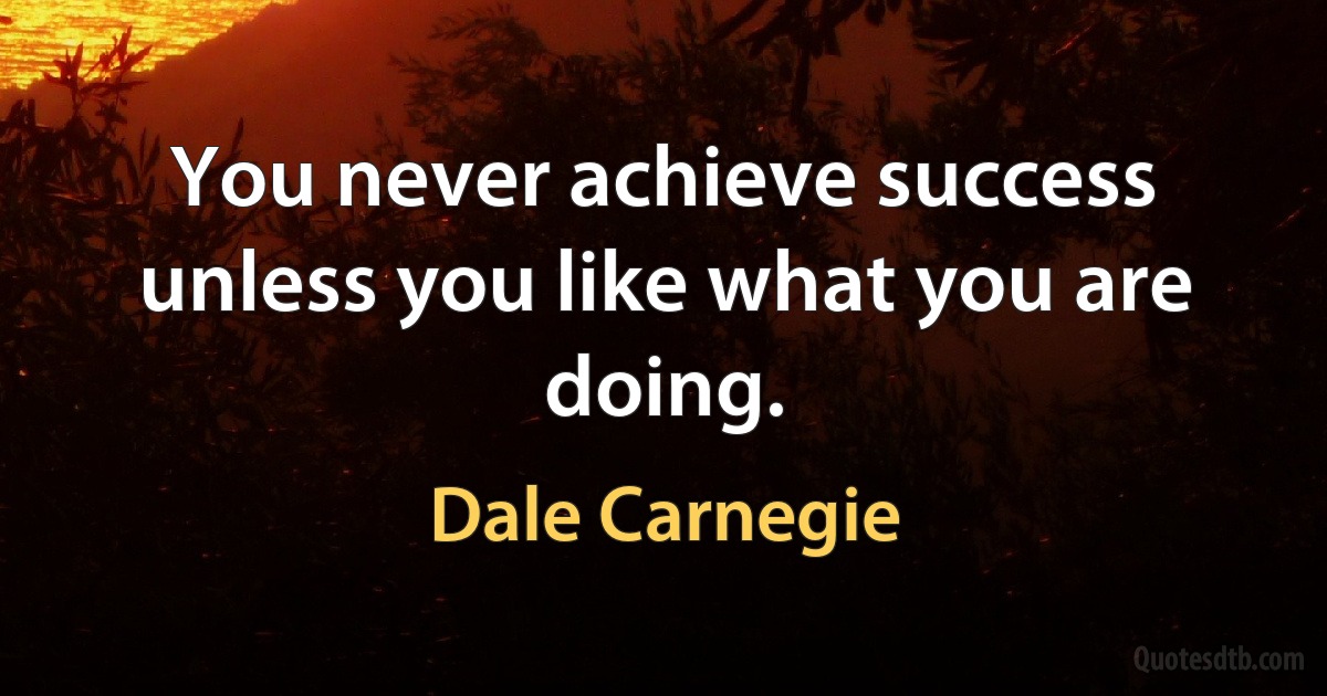 You never achieve success unless you like what you are doing. (Dale Carnegie)