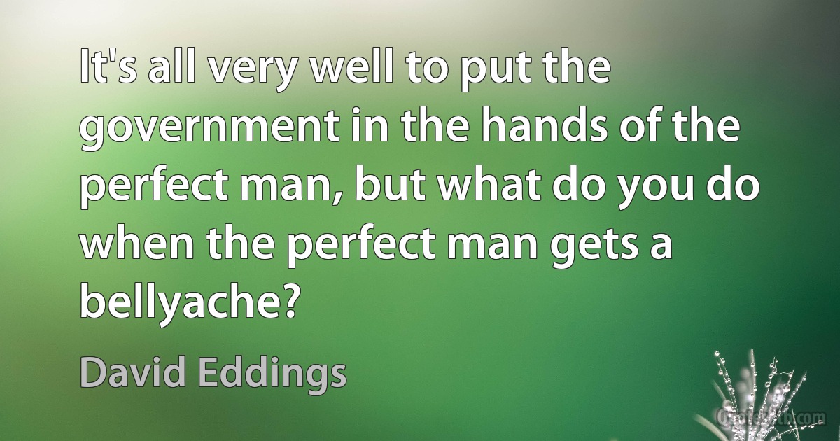 It's all very well to put the government in the hands of the perfect man, but what do you do when the perfect man gets a bellyache? (David Eddings)