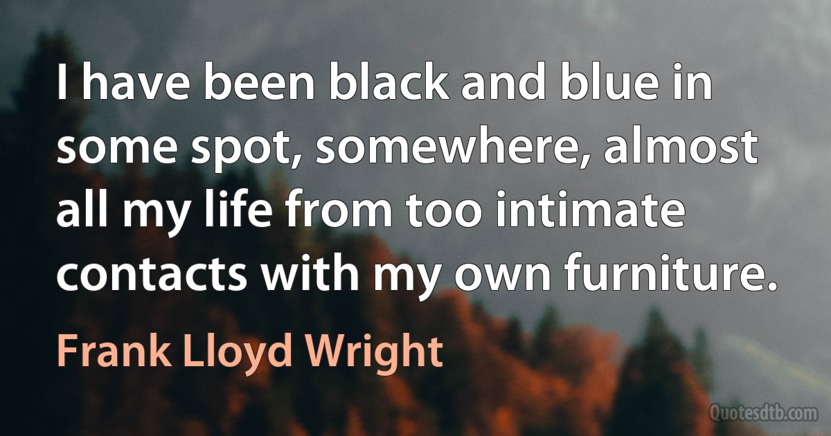 I have been black and blue in some spot, somewhere, almost all my life from too intimate contacts with my own furniture. (Frank Lloyd Wright)