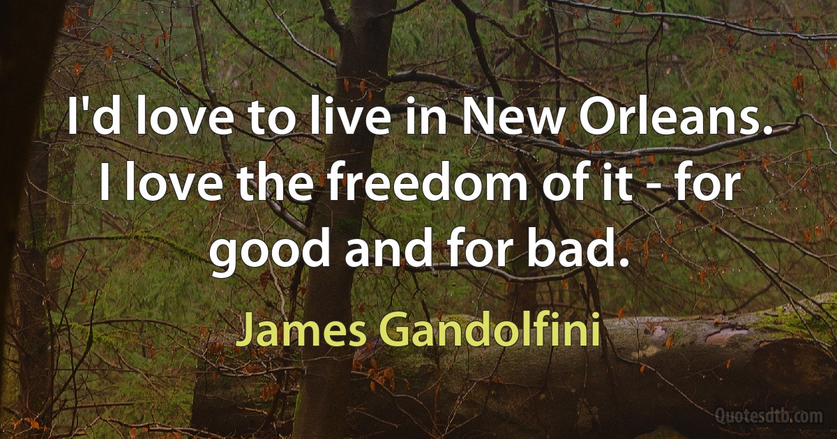 I'd love to live in New Orleans. I love the freedom of it - for good and for bad. (James Gandolfini)