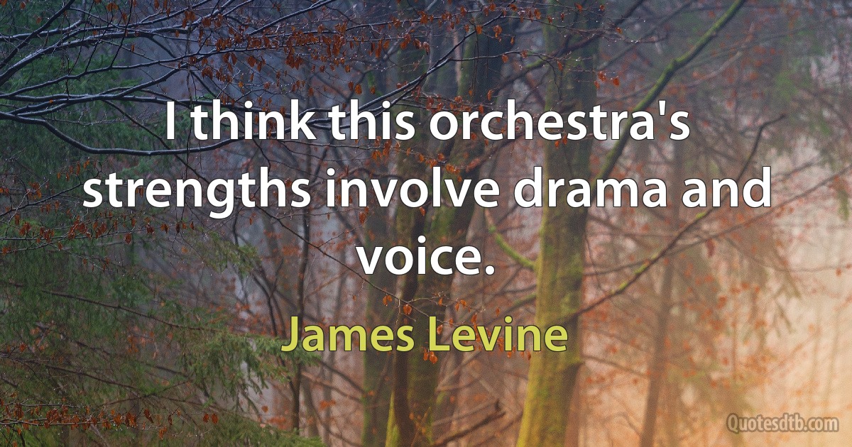 I think this orchestra's strengths involve drama and voice. (James Levine)