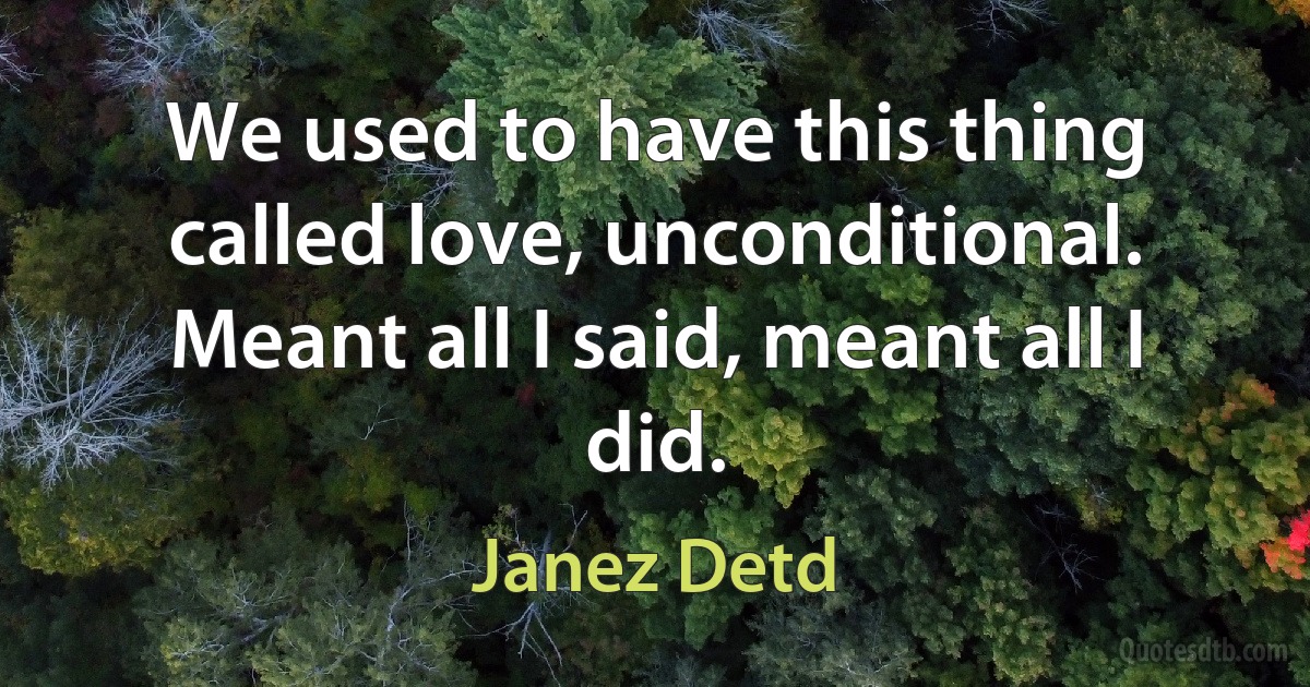 We used to have this thing called love, unconditional. Meant all I said, meant all I did. (Janez Detd)