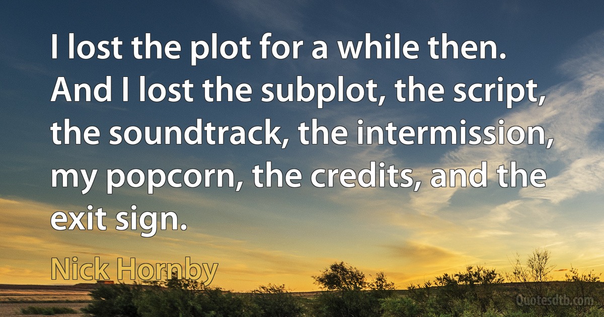 I lost the plot for a while then. And I lost the subplot, the script, the soundtrack, the intermission, my popcorn, the credits, and the exit sign. (Nick Hornby)