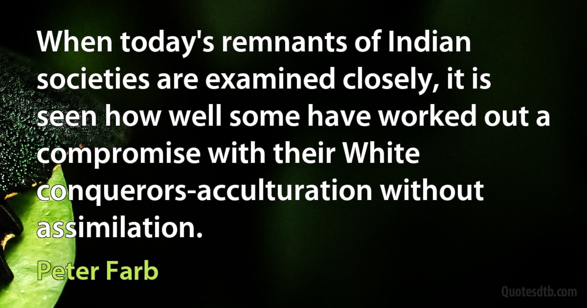 When today's remnants of Indian societies are examined closely, it is seen how well some have worked out a compromise with their White conquerors-acculturation without assimilation. (Peter Farb)