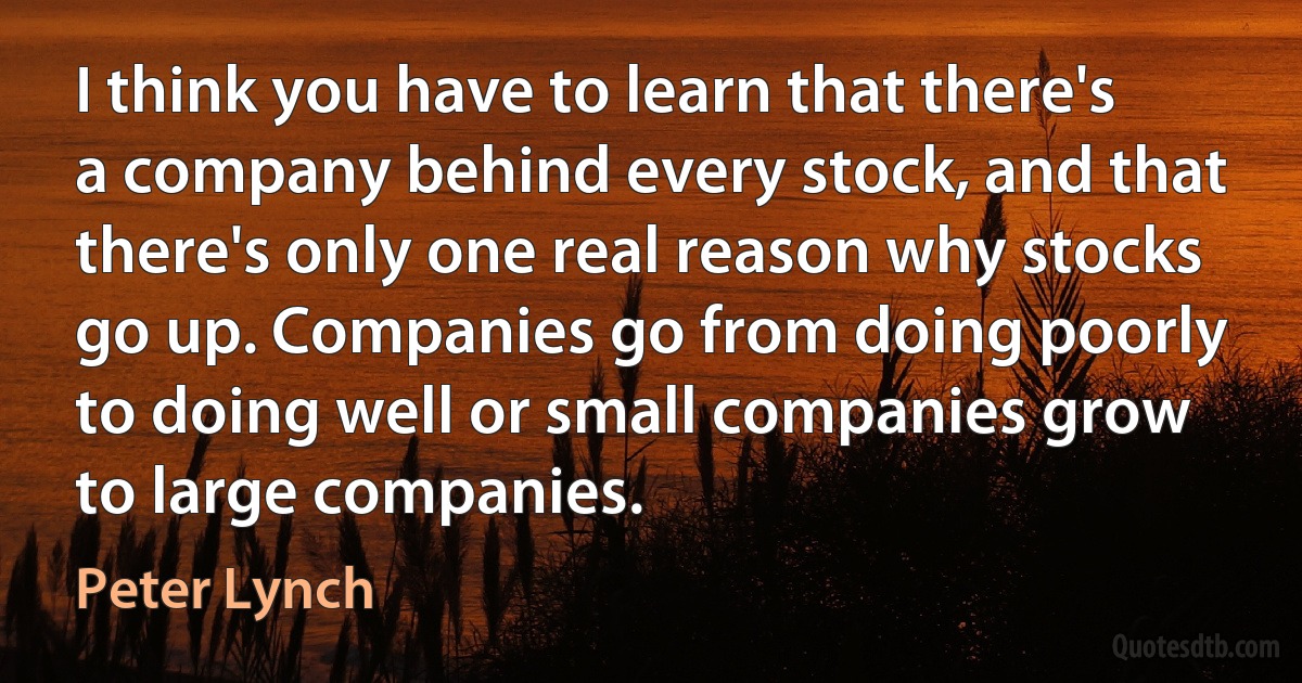 I think you have to learn that there's a company behind every stock, and that there's only one real reason why stocks go up. Companies go from doing poorly to doing well or small companies grow to large companies. (Peter Lynch)