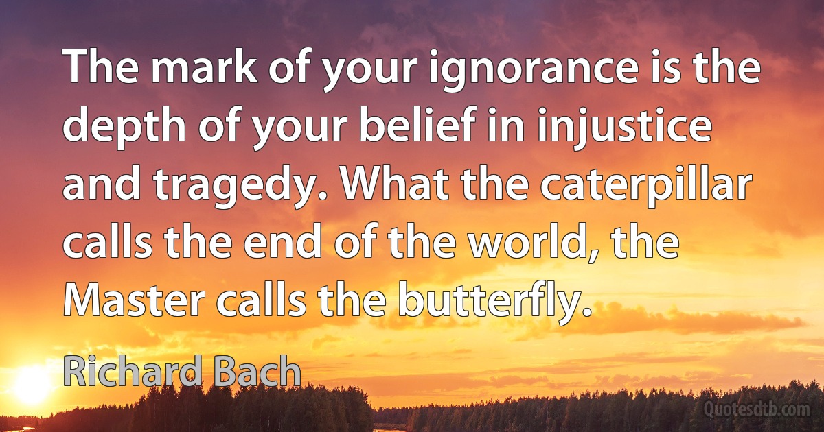 The mark of your ignorance is the depth of your belief in injustice and tragedy. What the caterpillar calls the end of the world, the Master calls the butterfly. (Richard Bach)