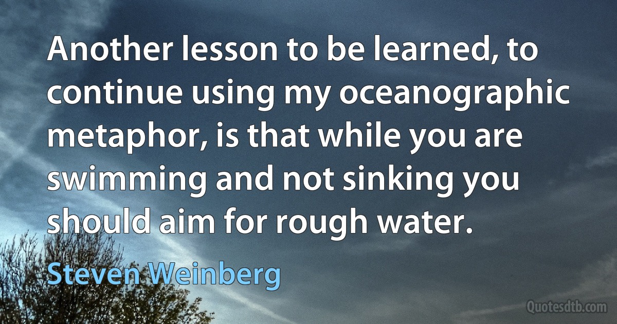 Another lesson to be learned, to continue using my oceanographic metaphor, is that while you are swimming and not sinking you should aim for rough water. (Steven Weinberg)