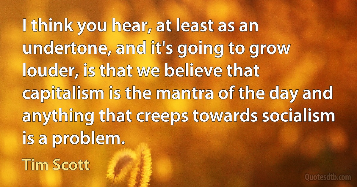 I think you hear, at least as an undertone, and it's going to grow louder, is that we believe that capitalism is the mantra of the day and anything that creeps towards socialism is a problem. (Tim Scott)