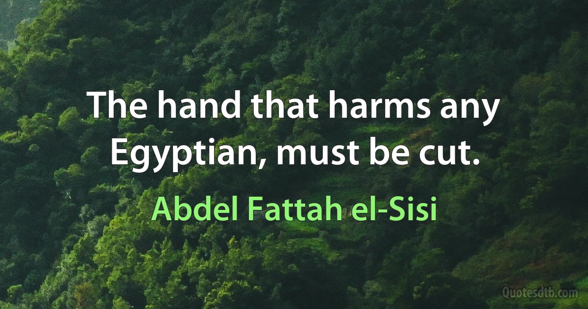 The hand that harms any Egyptian, must be cut. (Abdel Fattah el-Sisi)