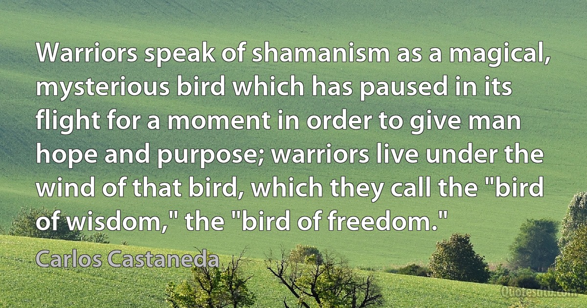 Warriors speak of shamanism as a magical, mysterious bird which has paused in its flight for a moment in order to give man hope and purpose; warriors live under the wind of that bird, which they call the "bird of wisdom," the "bird of freedom." (Carlos Castaneda)