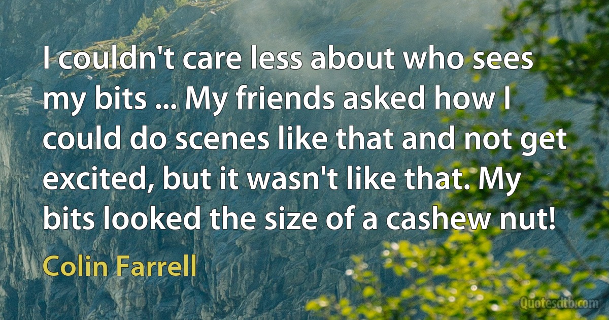 I couldn't care less about who sees my bits ... My friends asked how I could do scenes like that and not get excited, but it wasn't like that. My bits looked the size of a cashew nut! (Colin Farrell)