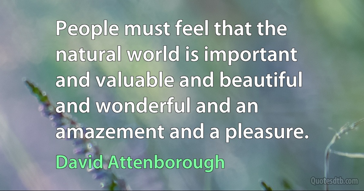 People must feel that the natural world is important and valuable and beautiful and wonderful and an amazement and a pleasure. (David Attenborough)