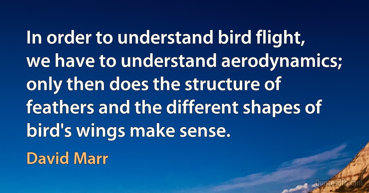 In order to understand bird flight, we have to understand aerodynamics; only then does the structure of feathers and the different shapes of bird's wings make sense. (David Marr)