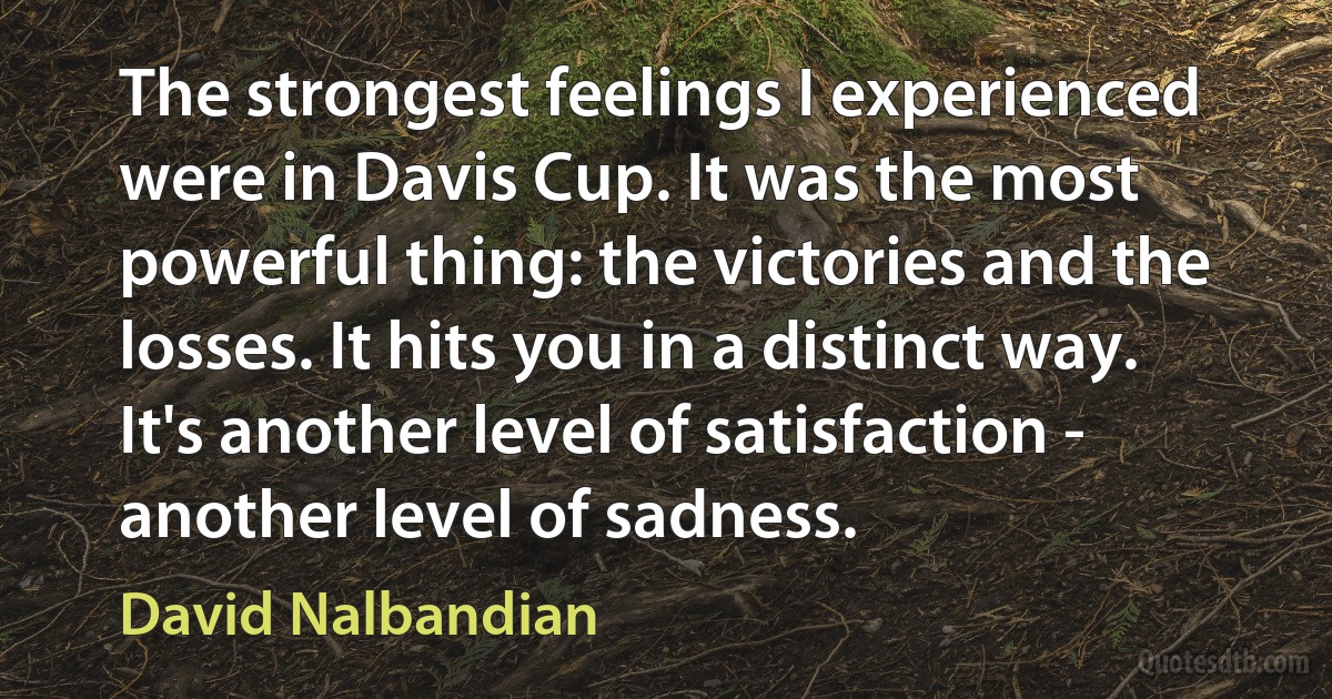 The strongest feelings I experienced were in Davis Cup. It was the most powerful thing: the victories and the losses. It hits you in a distinct way. It's another level of satisfaction - another level of sadness. (David Nalbandian)