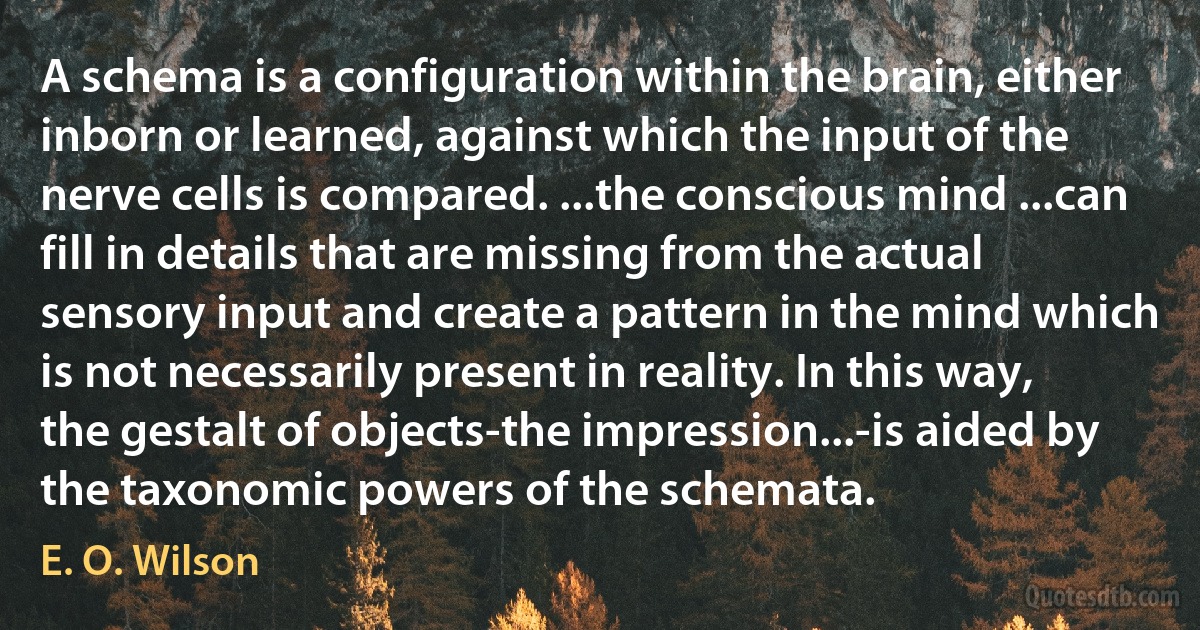 A schema is a configuration within the brain, either inborn or learned, against which the input of the nerve cells is compared. ...the conscious mind ...can fill in details that are missing from the actual sensory input and create a pattern in the mind which is not necessarily present in reality. In this way, the gestalt of objects-the impression...-is aided by the taxonomic powers of the schemata. (E. O. Wilson)