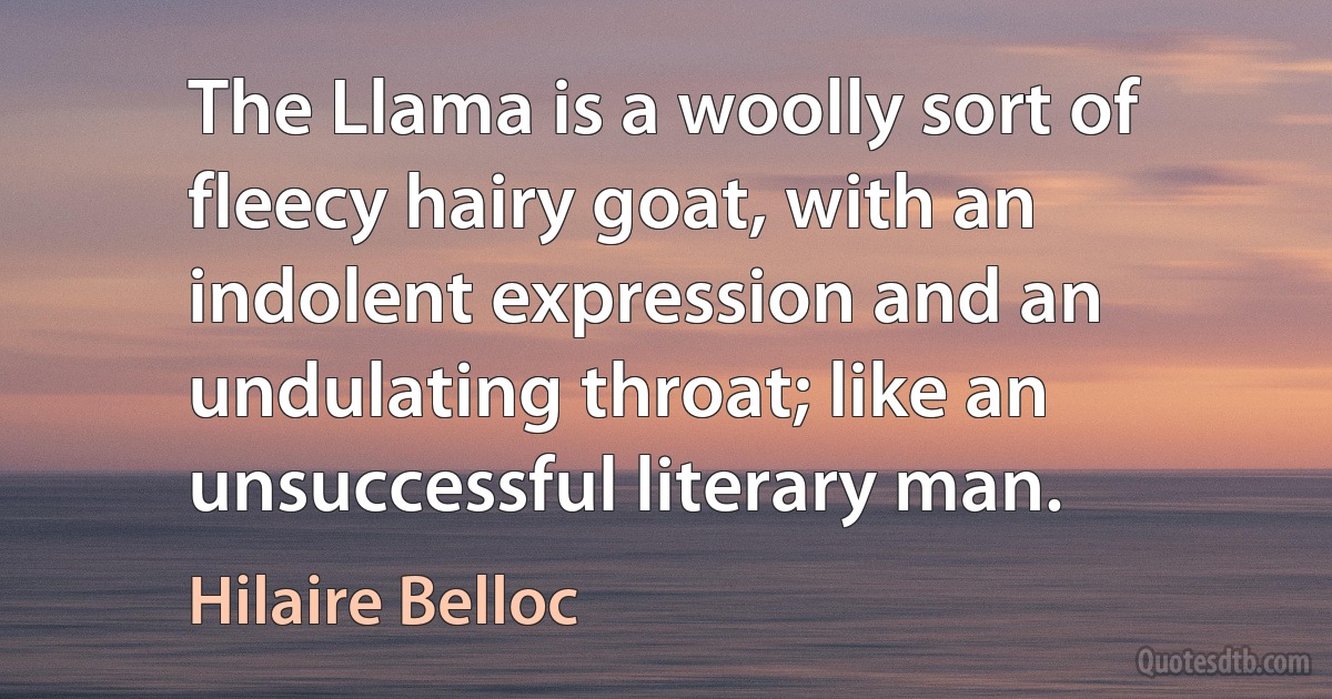 The Llama is a woolly sort of fleecy hairy goat, with an indolent expression and an undulating throat; like an unsuccessful literary man. (Hilaire Belloc)