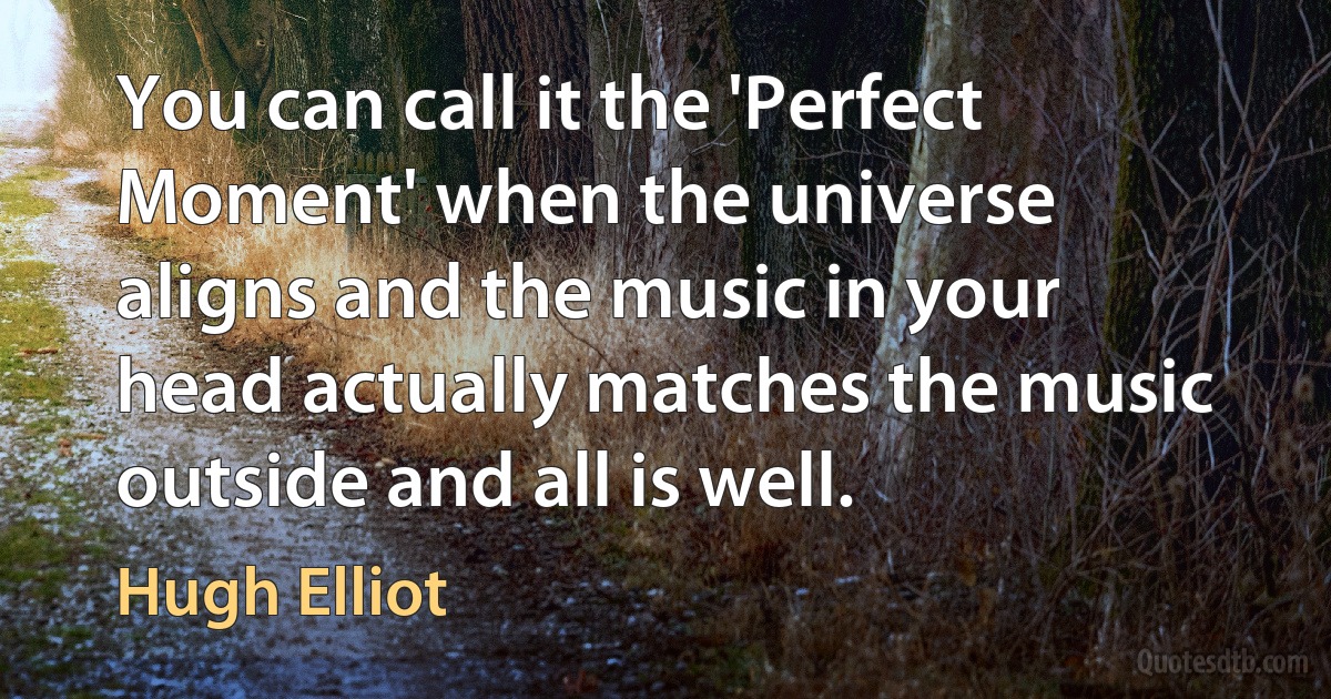 You can call it the 'Perfect Moment' when the universe aligns and the music in your head actually matches the music outside and all is well. (Hugh Elliot)