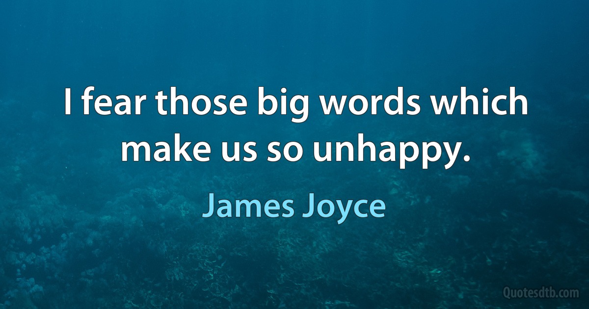 I fear those big words which make us so unhappy. (James Joyce)