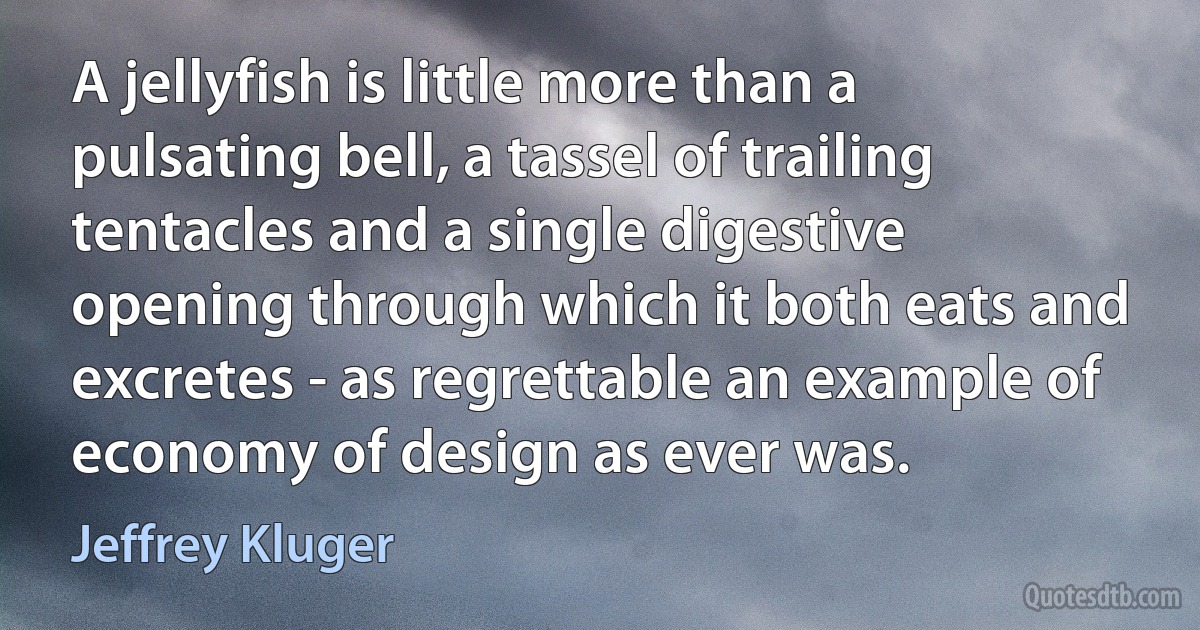 A jellyfish is little more than a pulsating bell, a tassel of trailing tentacles and a single digestive opening through which it both eats and excretes - as regrettable an example of economy of design as ever was. (Jeffrey Kluger)