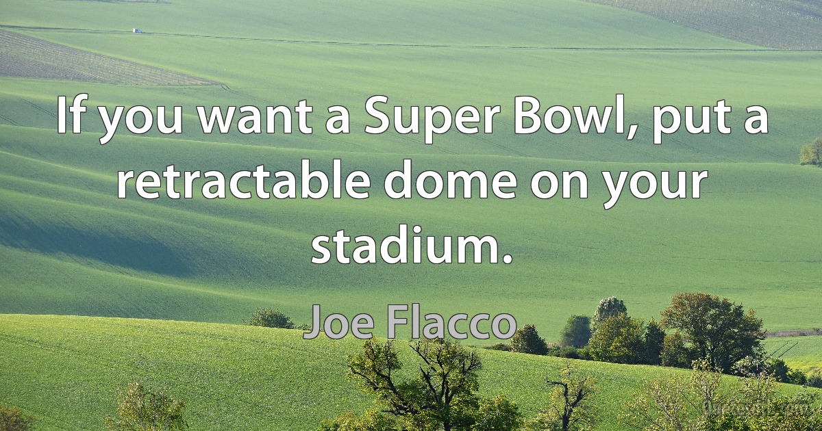 If you want a Super Bowl, put a retractable dome on your stadium. (Joe Flacco)