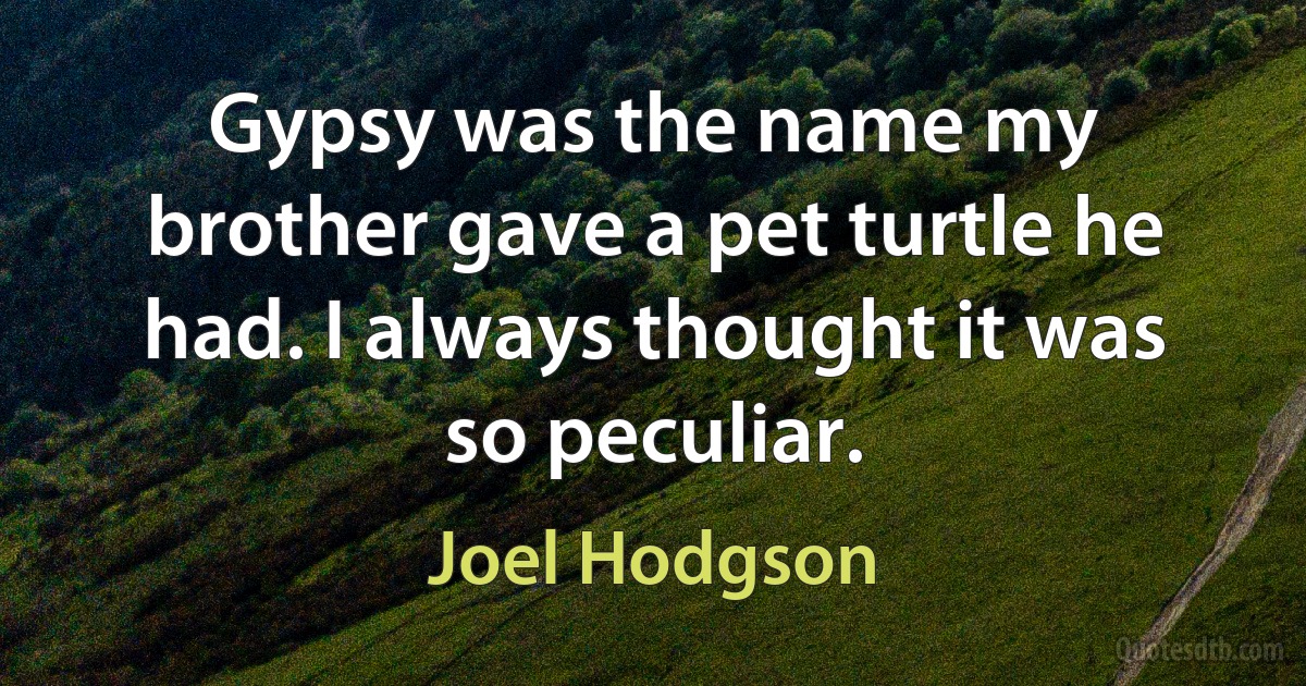 Gypsy was the name my brother gave a pet turtle he had. I always thought it was so peculiar. (Joel Hodgson)