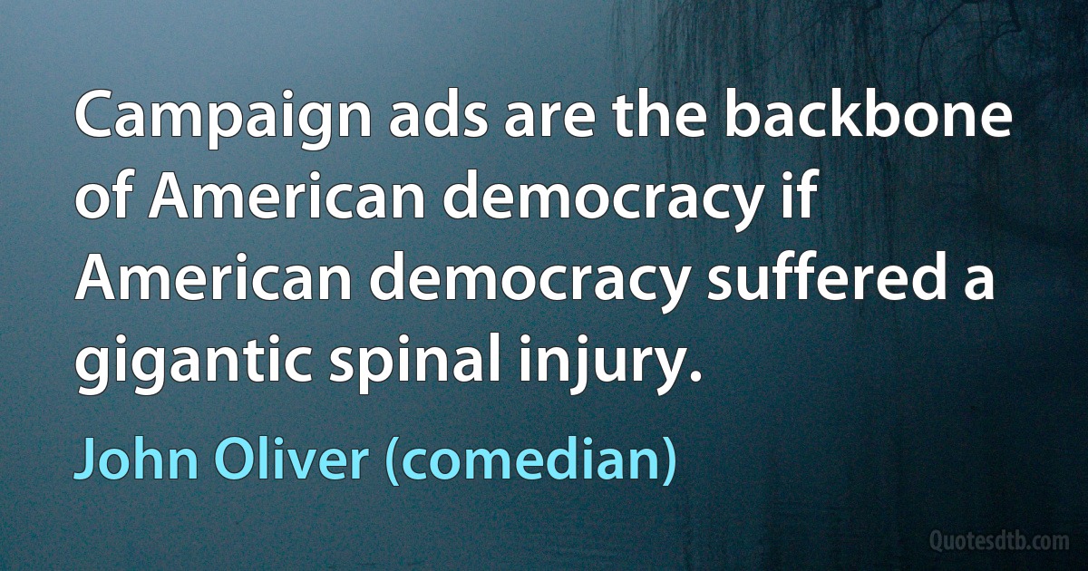 Campaign ads are the backbone of American democracy if American democracy suffered a gigantic spinal injury. (John Oliver (comedian))