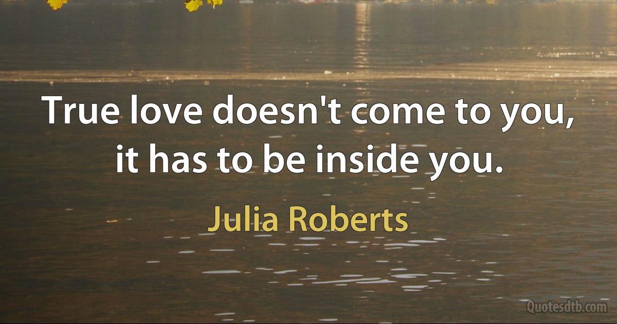 True love doesn't come to you, it has to be inside you. (Julia Roberts)