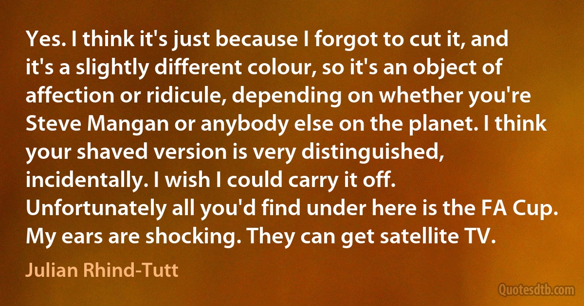 Yes. I think it's just because I forgot to cut it, and it's a slightly different colour, so it's an object of affection or ridicule, depending on whether you're Steve Mangan or anybody else on the planet. I think your shaved version is very distinguished, incidentally. I wish I could carry it off. Unfortunately all you'd find under here is the FA Cup. My ears are shocking. They can get satellite TV. (Julian Rhind-Tutt)