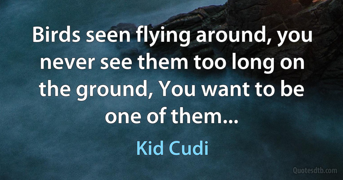 Birds seen flying around, you never see them too long on the ground, You want to be one of them... (Kid Cudi)