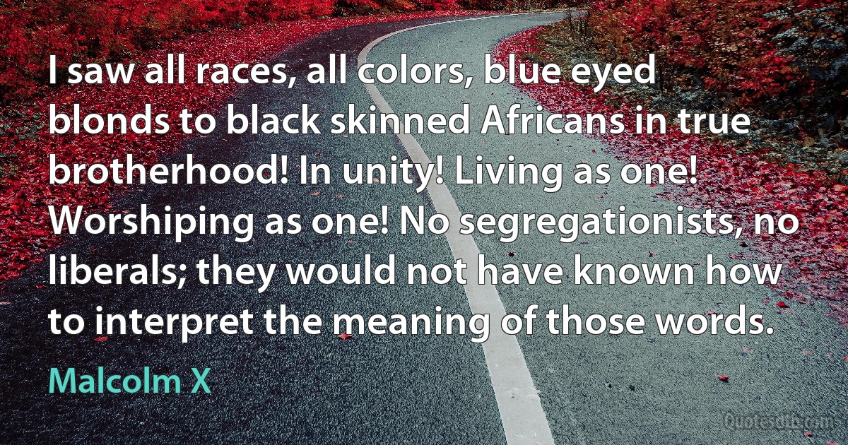 I saw all races, all colors, blue eyed blonds to black skinned Africans in true brotherhood! In unity! Living as one! Worshiping as one! No segregationists, no liberals; they would not have known how to interpret the meaning of those words. (Malcolm X)