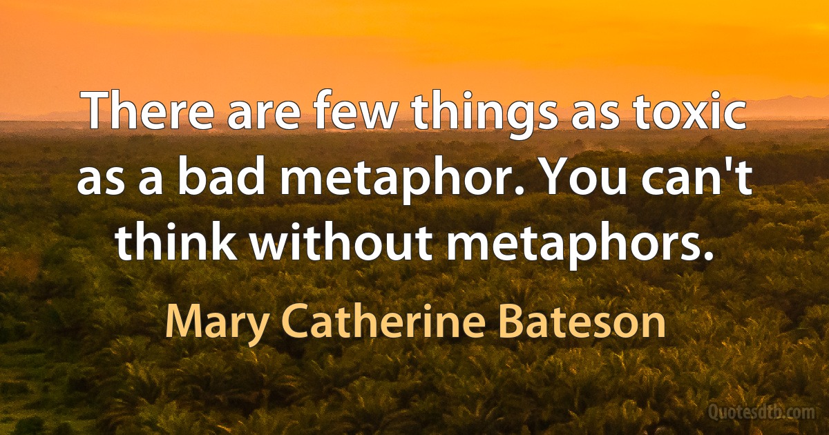 There are few things as toxic as a bad metaphor. You can't think without metaphors. (Mary Catherine Bateson)