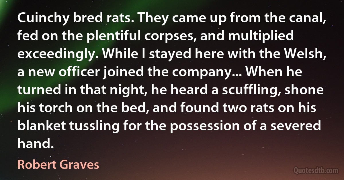 Cuinchy bred rats. They came up from the canal, fed on the plentiful corpses, and multiplied exceedingly. While I stayed here with the Welsh, a new officer joined the company... When he turned in that night, he heard a scuffling, shone his torch on the bed, and found two rats on his blanket tussling for the possession of a severed hand. (Robert Graves)