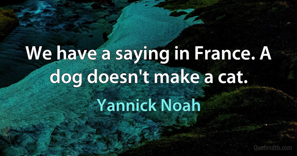 We have a saying in France. A dog doesn't make a cat. (Yannick Noah)