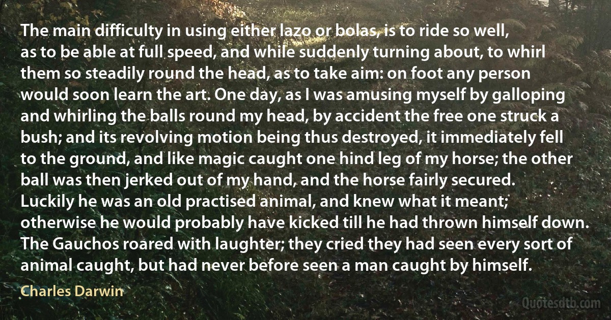 The main difficulty in using either lazo or bolas, is to ride so well, as to be able at full speed, and while suddenly turning about, to whirl them so steadily round the head, as to take aim: on foot any person would soon learn the art. One day, as I was amusing myself by galloping and whirling the balls round my head, by accident the free one struck a bush; and its revolving motion being thus destroyed, it immediately fell to the ground, and like magic caught one hind leg of my horse; the other ball was then jerked out of my hand, and the horse fairly secured. Luckily he was an old practised animal, and knew what it meant; otherwise he would probably have kicked till he had thrown himself down. The Gauchos roared with laughter; they cried they had seen every sort of animal caught, but had never before seen a man caught by himself. (Charles Darwin)